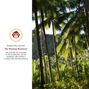 Miracle Palm Organic Virgin Coconut Oil (5 Gallons)