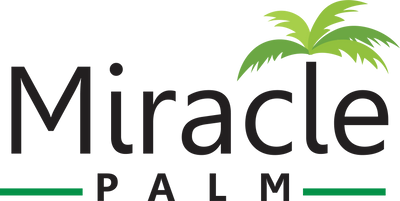 Miracle Palm