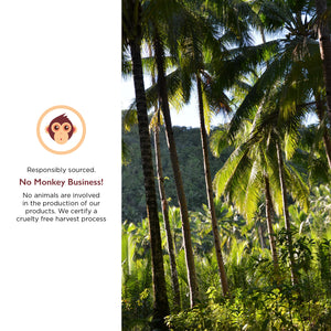 Miracle Palm Organic Aseptic Coconut Cream 24% Fat - Unsweetened  20kg (44lb) Bag in Box
